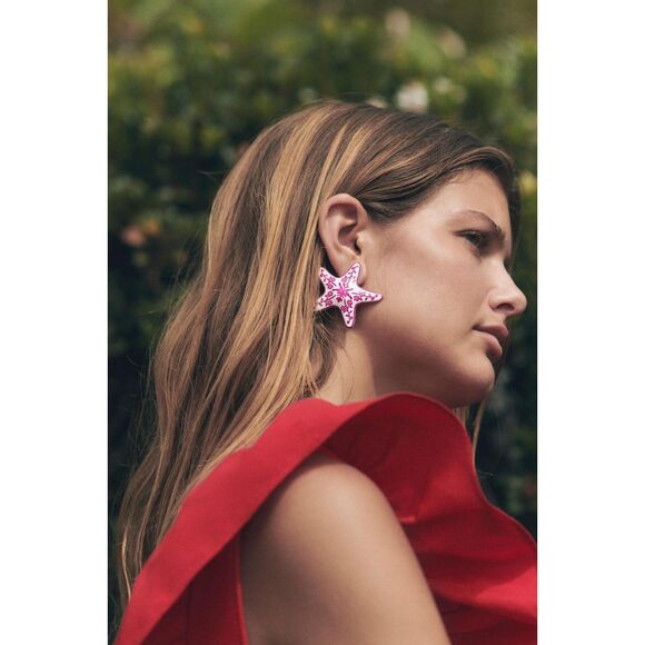 Zara Star Earrings NWT Sold out online - Picture 1 of 3